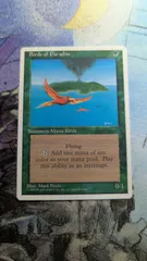 2026年最新】極楽鳥 mtgの人気アイテム - メルカリ