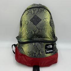 Supreme × THE NORTH FACE ヘビ柄 パイソン バック - メルカリ