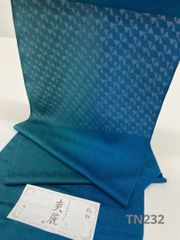 Item thumbnail for item 3a80ac57-9286-432f-a807-de513b1f2472