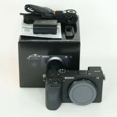 2026年最新】SONY α6600の人気アイテム - メルカリ