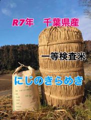 R7年産 新米 群馬県産 にじのきらめき 5キロ 玄米 送料込 5kg ①
