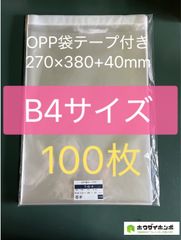 Item thumbnail for item 301b6846-d4f3-4e33-aef9-a93a02c4426d