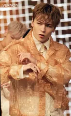 SEVENTEEN HMV VERNON 舞い落ちる花びら MV