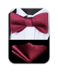 蝶ネクタイ 手結び チーフ付き メンズ ペイズリー BC-01 ボウタイ セット 結婚式 入学式 [HISDERN] 披露宴 プレゼント パーティー 色選択