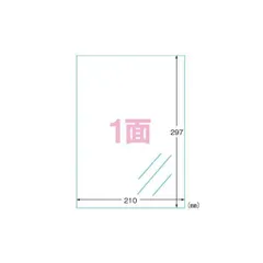 （まとめ） エーワン フィルムラベルシール A4判 光沢フィルム・透明 28791 10枚入 〔×2セット〕