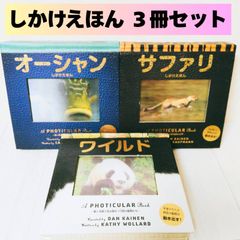 帯付 LP-BOX] ヤノフスキ指揮 ワーグナー LPレコードまとめ売り - メルカリ
