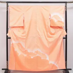 付下げ 洗える着物 袷 身丈162cm 裄丈66cm ポリエステル Bランク Lサイズ 広衿 インフォーマル 紋意匠 青海波 雲取り 朱系 1261-16315