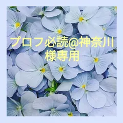 プロフ必読@神奈川 様専用