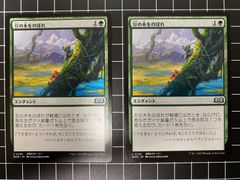 MTG 豆の木をのぼれ 2枚 日本語 - メルカリ