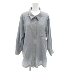 レリアン Leilian シャツ 13+ 水色 長袖 刺繍 レギュラーカラー /NL ■GY61