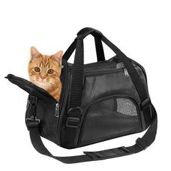 Item thumbnail for item c1cc0fb6-1435-4676-b7ac-70a7b0b90922