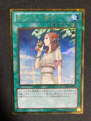 遊戯王1枚 禁じられた聖杯 24EP スターパラレル - メルカリ