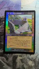 2026年最新】旧枠FOILの人気アイテム - メルカリ