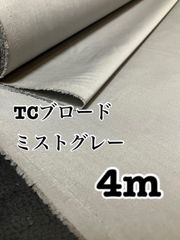 Item thumbnail for item 065c9e3e-5cac-4702-85c0-657bea76112f