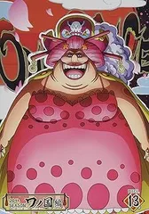ONE PIECE ワンピース 20THシーズン ワノ国編 piece.13 DVD