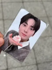 2026年最新】サノク ソンムルの人気アイテム - メルカリ