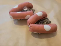 小さな整体師®あしなか　　ハードタイプ