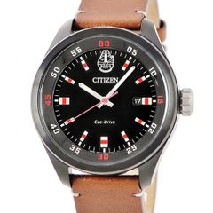 廃盤品】CITIZEN クォーツカッコー・ウィーン 4MJ659-006 美品 - メルカリ