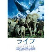 Item thumbnail for item cac790c5-2792-4187-9358-b13beabc397c