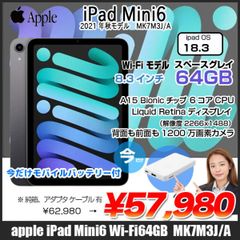 ANAプレミアムメンバー限定 ロゴ刻印 iPad mini Wi-Fi 64GB - メルカリ