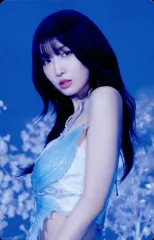 【中古】コレクションカード(女性) TWICE/モモ(MOMO)/CD「DIVE」【通常盤】(WPCL-13568)初回プレス分封入トレーディングカード