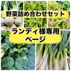 苗の専門店から発送‼️晩生種もみじ3号‼️150本‼️玉ねぎ苗 - メルカリ