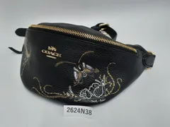 【2624N38】 COACH コーチ 刺繍デザイン ボディバッグ ウエストポーチ 中古
