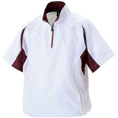 Item thumbnail for item bbb56d59-8f31-473f-9ec3-25fde60bf829