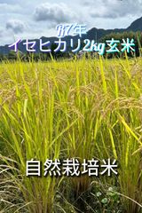 R7年 自然栽培米 朝日米20kg玄米 - メルカリ