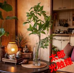 光触媒 人工観葉植物 ウォールグリーン フェイクグリーン バリ風特大