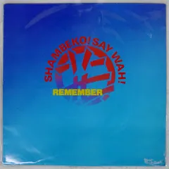 英 UK盤 WAH/REMEMBER/ETERNAL ZAZU1T 12