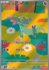 211/193/M2a/AR ドラメシヤ