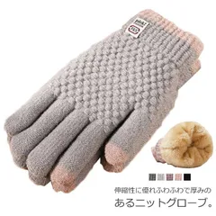 【送料無料】手ぶくろ レディース 裏起毛 厚手 ニット 防寒 防風 スマホ対応 暖かい グローブ タッチパネル あったか モコモコ スマホ 手袋 通勤 自転車 アウトドア 無地 シンプル おしゃれ ピ#erika1148