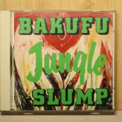 希少 爆風スランプ リゾ・ラバ シングルカセットテープ 当時物 歌詞