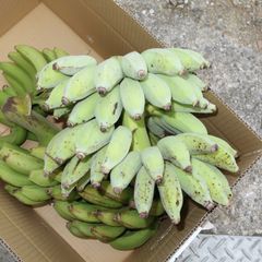ナムアバナナ 房 10kg - メルカリ