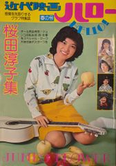 井出薫 カレンダー 1996年 美品 - メルカリ