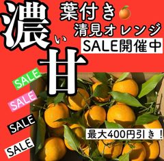 葉付き清見オレンジ　2キロ