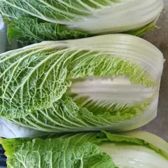 Noriko‘sマーケット様専用