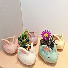 エッグにこちゃんのモルタルリメイク鉢6個とピックセット＊ - メルカリ