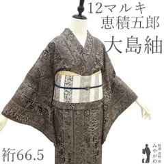 【新古品】 本場大島紬 着物 未使用 正絹 大島紬 十八算 １２マルキ 恵積五郎 精恵絣 泥染め 手織り こげ茶 吉祥間道文 華文 松竹梅 鶴 宝尽くし カジュアル 12マルキ 仕立て上がり 身丈168 裄丈66.5 Ｌサイズ みやがわ sbs17114