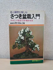 2026年最新】盆栽皐月の人気アイテム - メルカリ