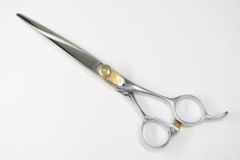 Item thumbnail for item e8583276-fddc-4506-9a1d-4c7f222381c5