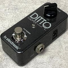 TC Electronic DITTO+ LOOPER - メルカリ