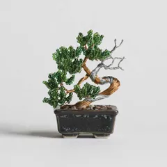 2026年最新】盆栽真柏の人気アイテム - メルカリ