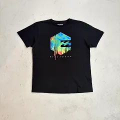 Billabong ビラボン ヴィンテージ サーフ 半袖T L