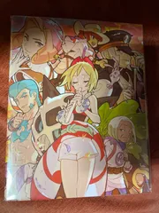 シンジュ団 コレクションファイル