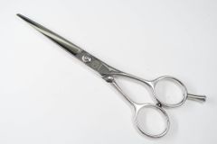 Item thumbnail for item ff1b2935-653f-4183-b8b8-766884db42b6