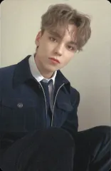 SEVENTEEN 初回限定盤B VERNON 舞い落ちる花びら