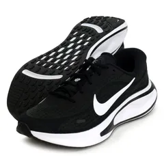 サイズ31.0cm、ナイキ NIKE  ナイキ ジャーニー ラン  ランニングシューズ ランシュー   (FN0228-001)