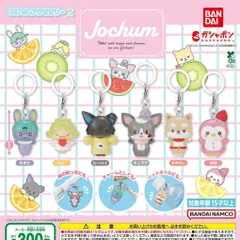 JOCHUM めじるしアクセサリー2 【全6種 コンプリート セット】 ｜ ジェオチャム フルコンプ カプセルトイ ガチャ ガシャ